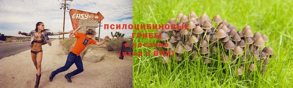 хмурый Краснотурьинск