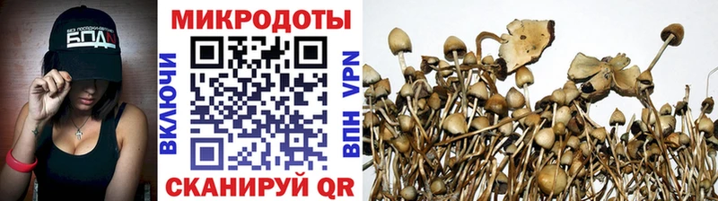 Купить закладки  Чишмы  Галлюциногенные грибы Psilocybine cubensis 